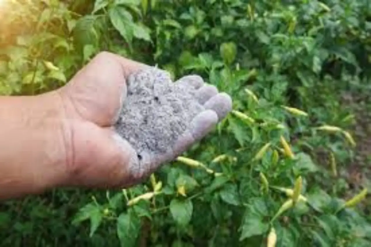 Ecco il fertilizzante naturale che fa crescere le piante più velocemente: lo conoscevi? Ecco il fertilizzante naturale che fa crescere le piante più velocemente: lo conoscevi?