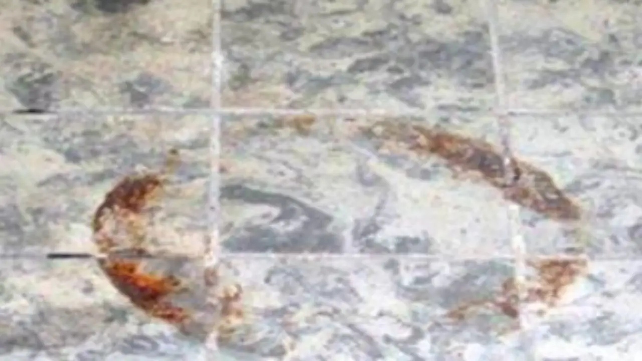 Come pulire le fughe dei pavimenti senza fatica: ecco i tre consigli dell’esperto Come pulire le fughe dei pavimenti senza fatica: ecco i tre consigli dell’esperto