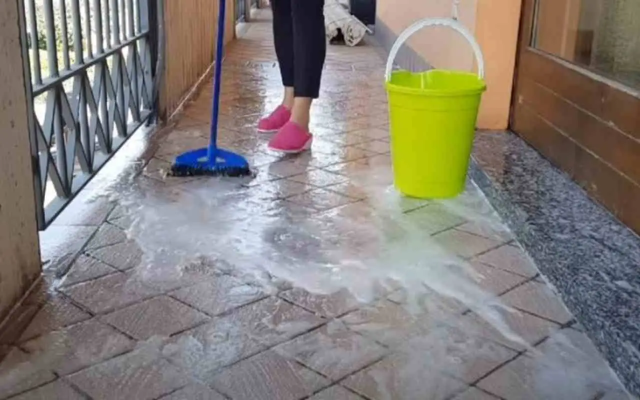 Per avere un’igiene perfetta in casa devi sempre pulire questo oggetto Per avere un’igiene perfetta in casa devi sempre pulire questo oggetto