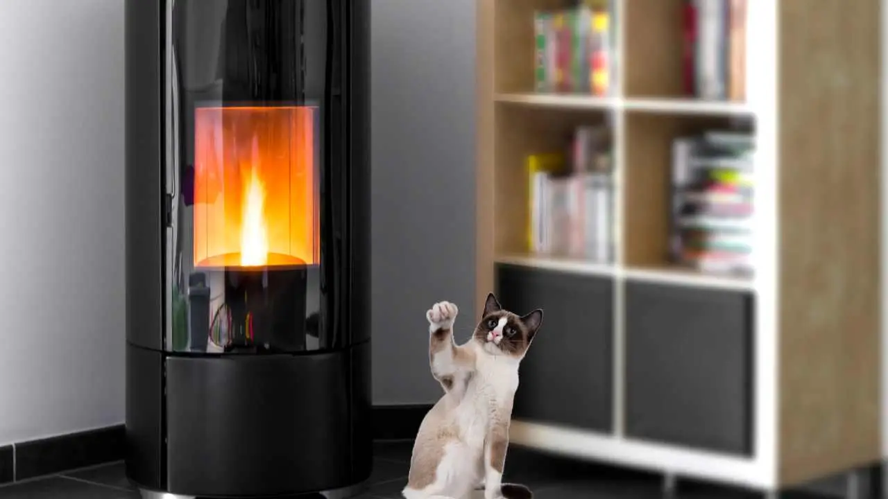 Si può installare una stufa a pellet senza canna fumaria? Ecco cosa dice la legge Si può installare una stufa a pellet senza canna fumaria? Ecco cosa dice la legge