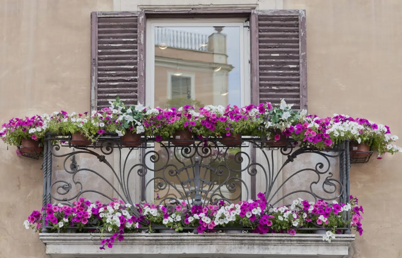 Il rimedio naturale per proteggere le piante da balcone dagli afidi verdi Il rimedio naturale per proteggere le piante da balcone dagli afidi verdi