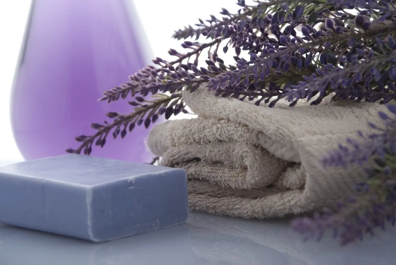 Come usare il sapone di Marsiglia sulle piante: il metodo che funziona davvero Come usare il sapone di Marsiglia sulle piante: il metodo che funziona davvero