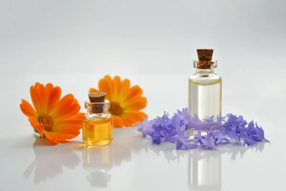 Scopri come riconoscere un profumo contraffatto: i 6 dettagli da controllare prima di acquistare secondo i consumatori Scopri come riconoscere un profumo contraffatto: i 6 dettagli da controllare prima di acquistare secondo i consumatori