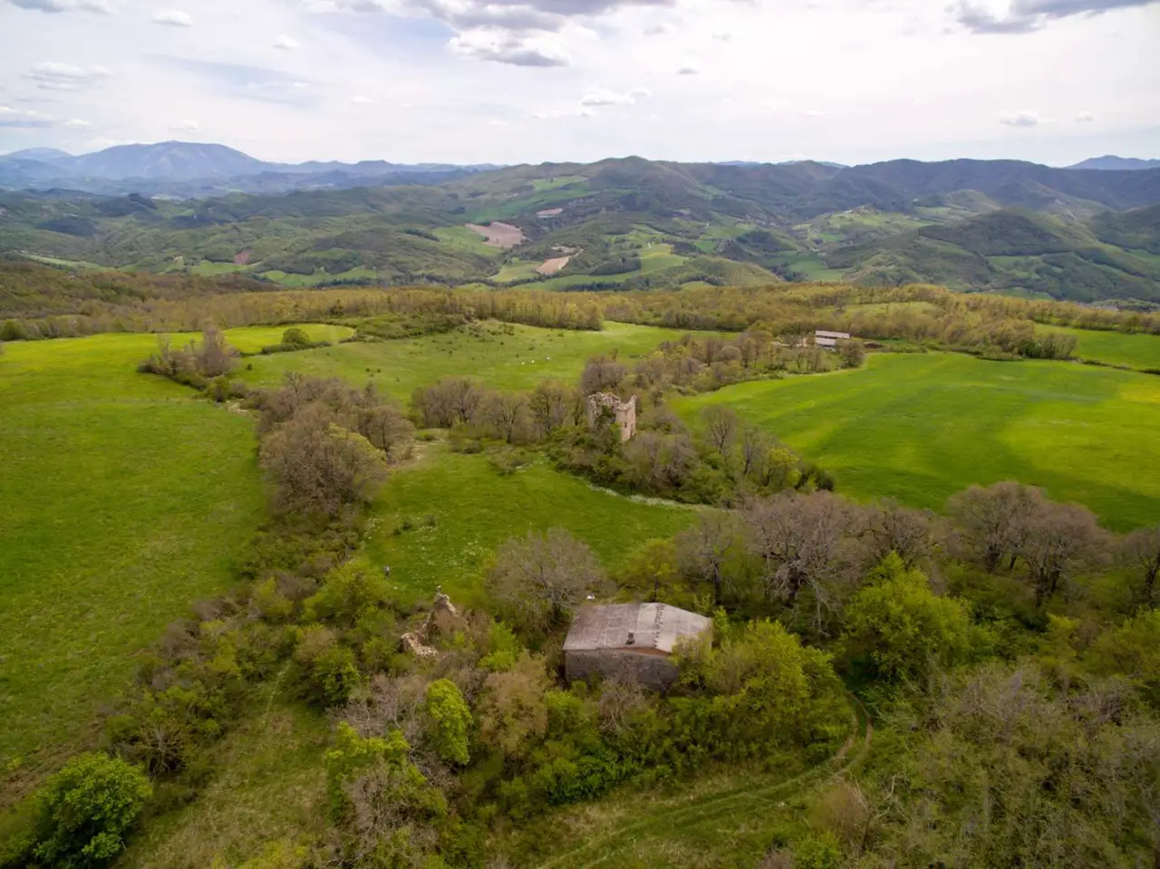 Terreno agricolo abbandonato? Ecco la strategia per ricavarne una rendita stabile Terreno agricolo abbandonato? Ecco la strategia per ricavarne una rendita stabile