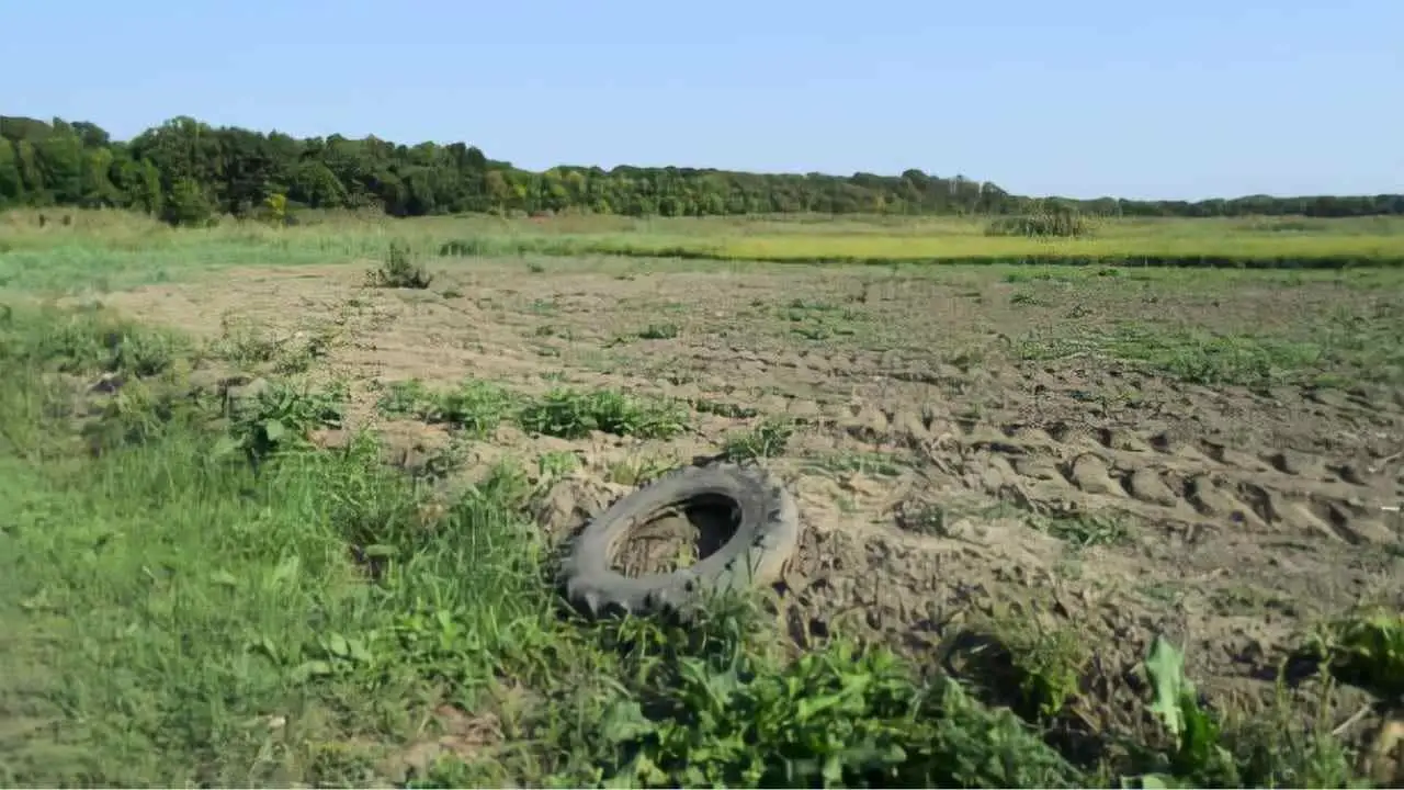 Terreno agricolo abbandonato? Ecco la strategia per ricavarne una rendita stabile Terreno agricolo abbandonato? Ecco la strategia per ricavarne una rendita stabile
