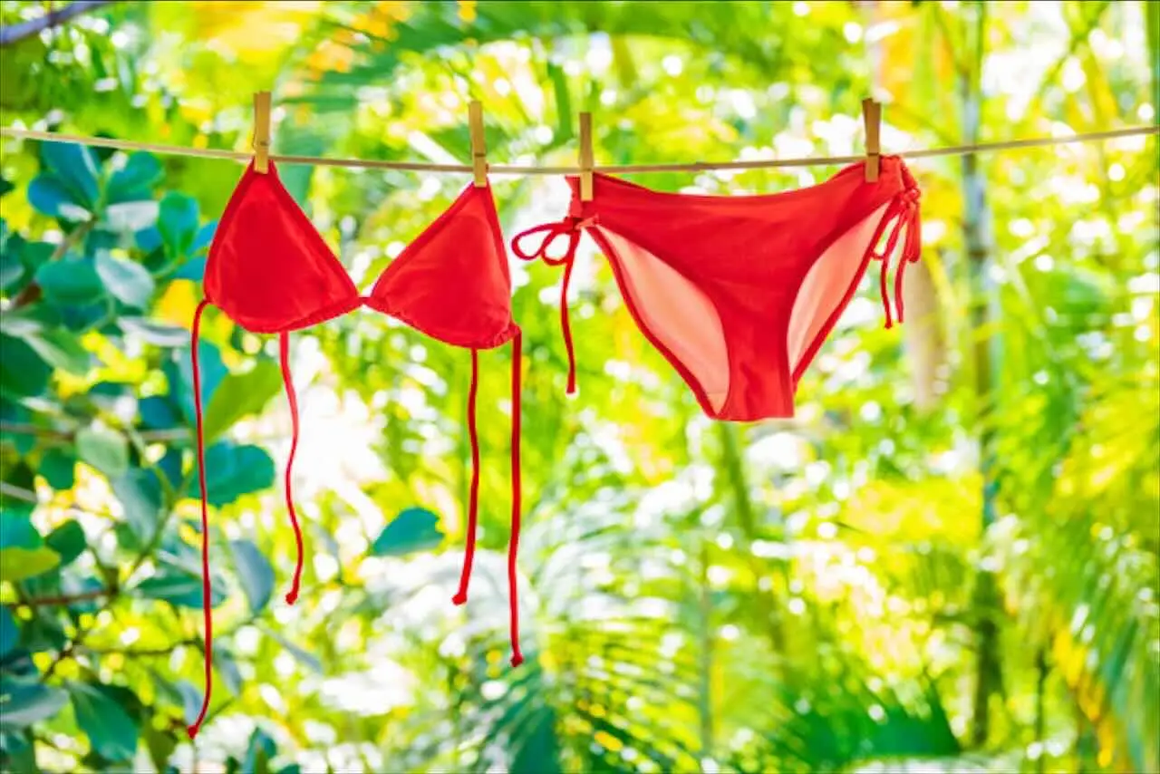 Piccoli tesori in casa: se hai questi oggetti estivi potresti guadagnare subito Piccoli tesori in casa: se hai questi oggetti estivi potresti guadagnare subito